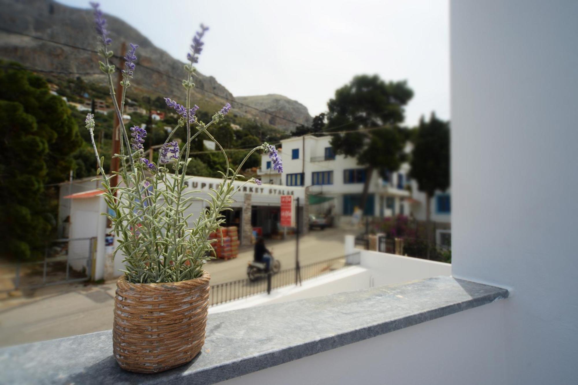 Apartment Anthelia *